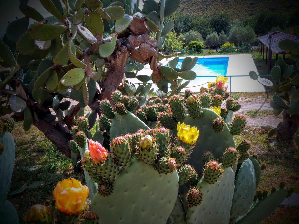Agriturismo Timpa Del Sole Villa โนโต ภายนอก รูปภาพ