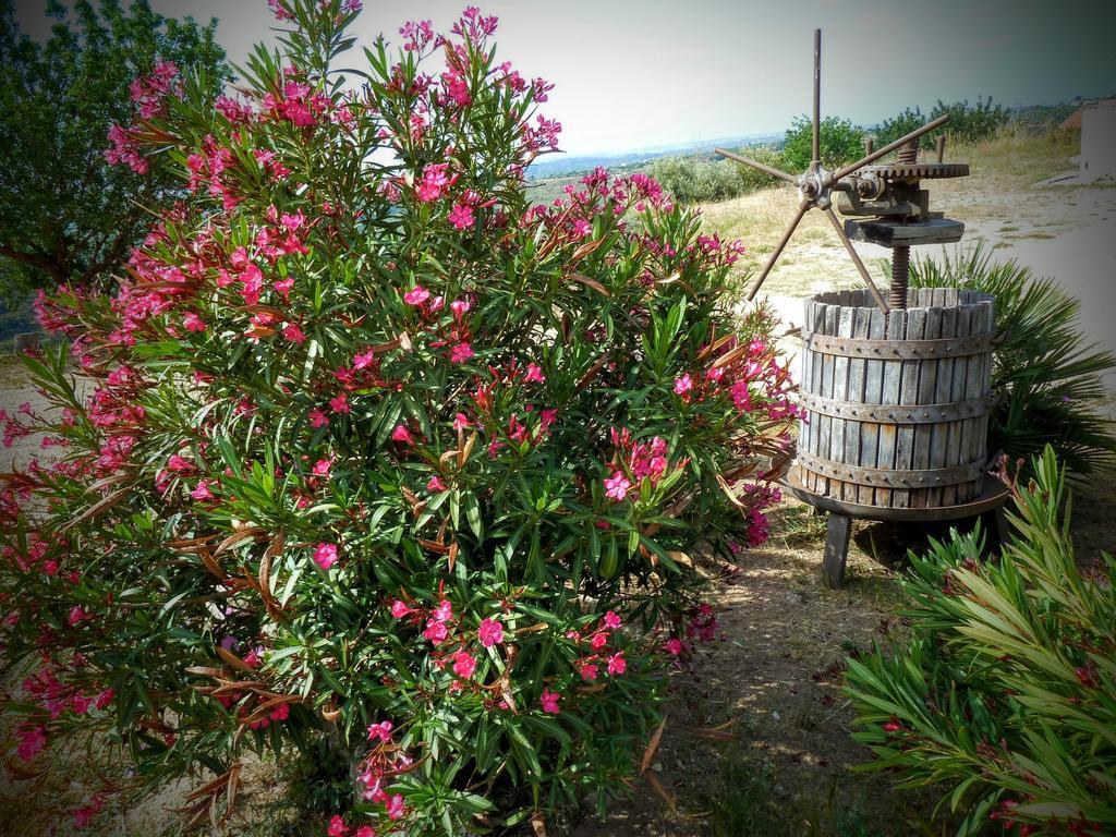 Agriturismo Timpa Del Sole Villa โนโต ภายนอก รูปภาพ